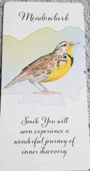 Divine Feather Messenger